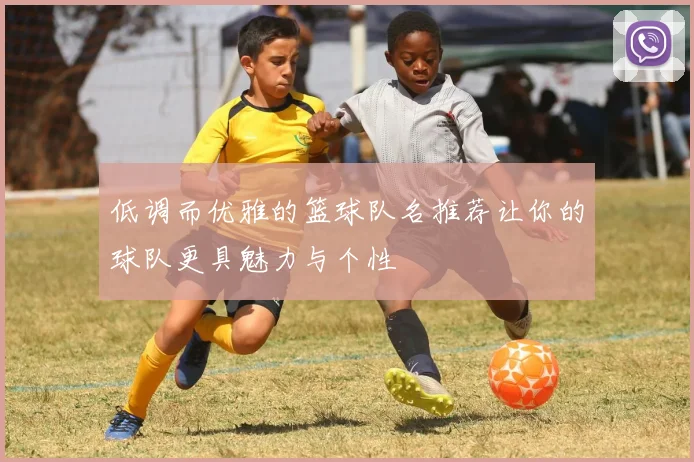 低调而优雅的篮球队名推荐让你的球队更具魅力与个性