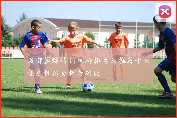 成都篮球培训机构排名及推荐十大优质机构分析与对比