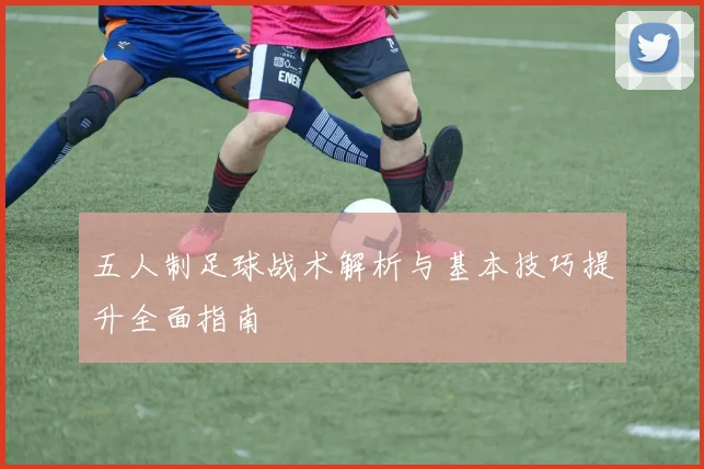 五人制足球战术解析与基本技巧提升全面指南